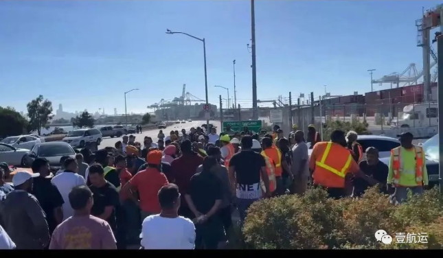 Auckland Port Strike-3